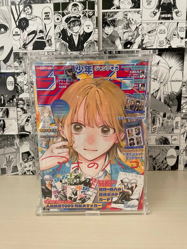 Case Protettivo in Plexiglass Shonen Jump (Standard Grande)