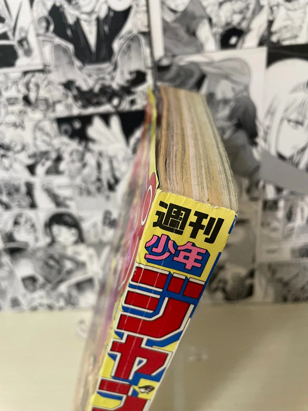 Weekly Shonen Jump 1994 N. 28 (JAP)