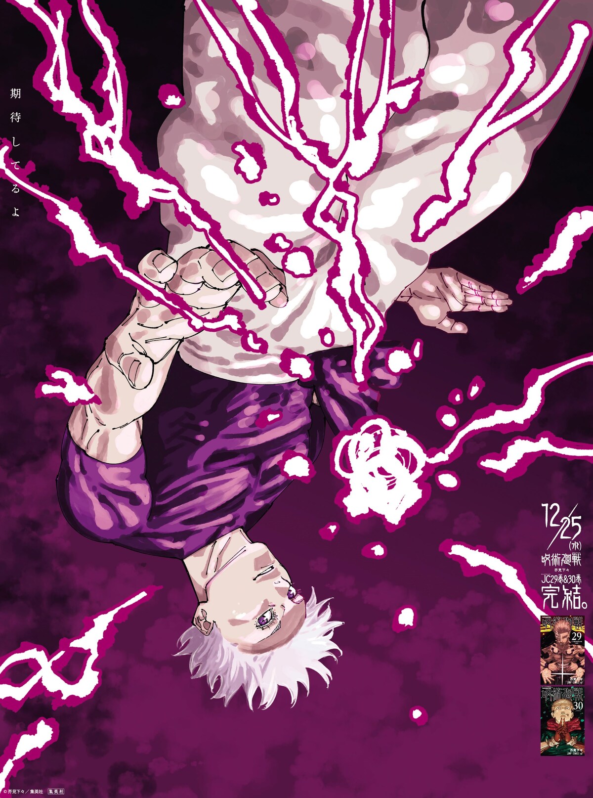 Jujutsu Kaisen Vol. 29-30 Special Bonus Postcard (JAP)