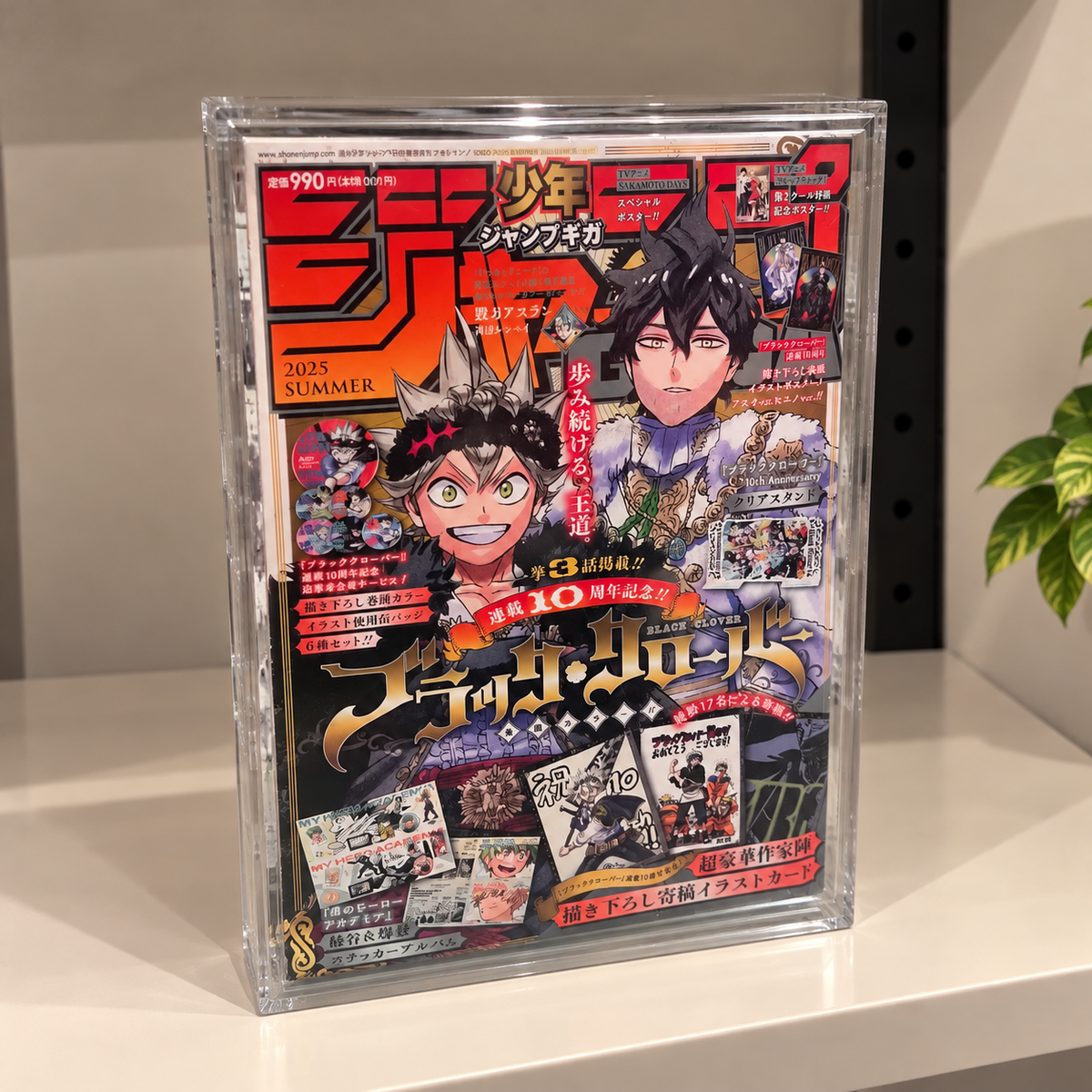 Case Protettivo in Plexiglass Shonen Jump (Standard Grande)