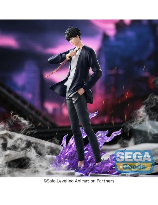 Solo Leveling Sung Jinwoo Xross Link