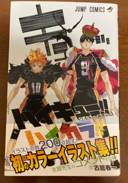 Haikyu!! Collezione ufficiale di illustrazioni a colori Jump Comics [JAP] [PREORDER]