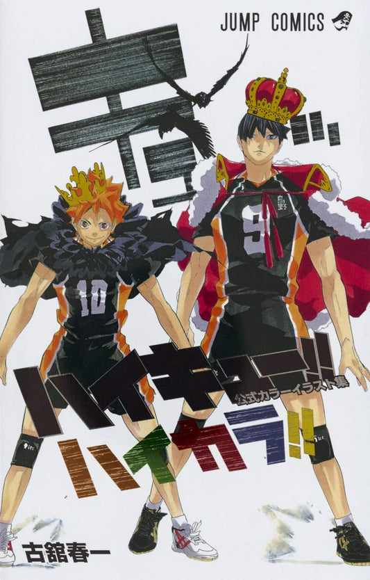 Haikyu!! Collezione ufficiale di illustrazioni a colori Jump Comics [JAP] [PREORDER]