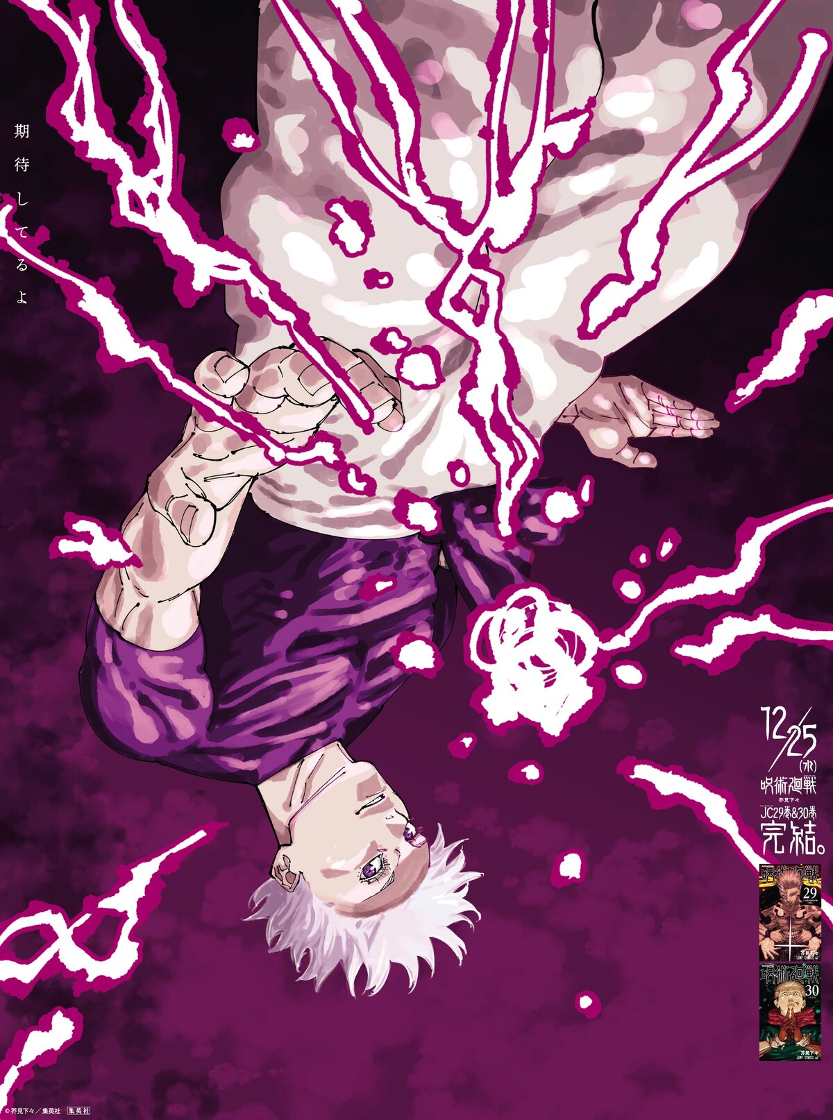 Jujutsu Kaisen Vol. 29-30 Special Bonus Postcard (JAP) [PREORDER]