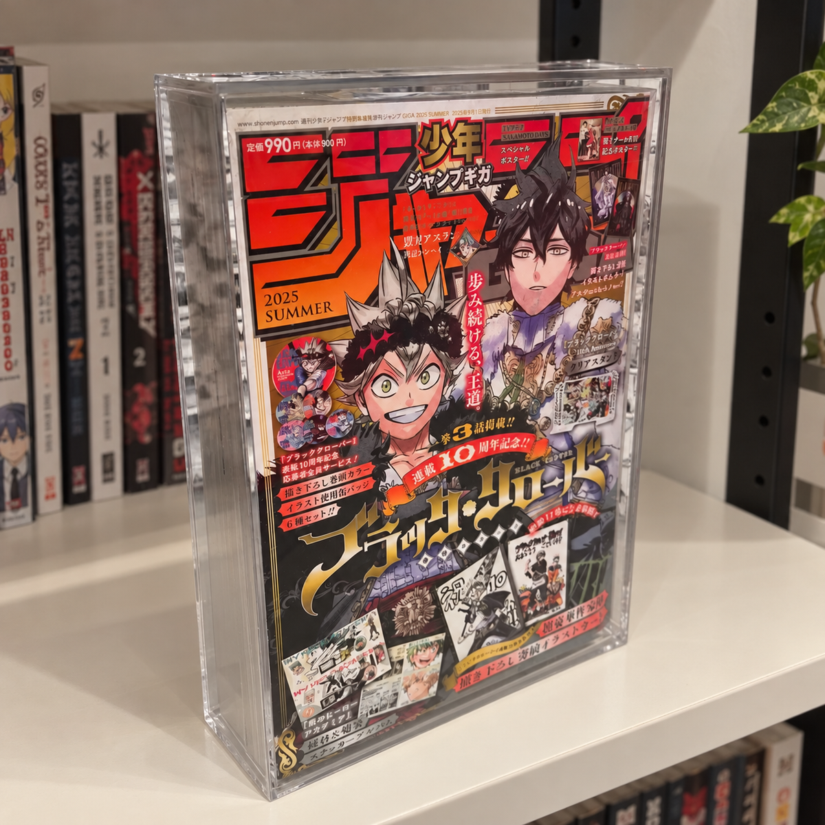 Case Protettivo in Plexiglass Shonen Jump (Standard Grande)