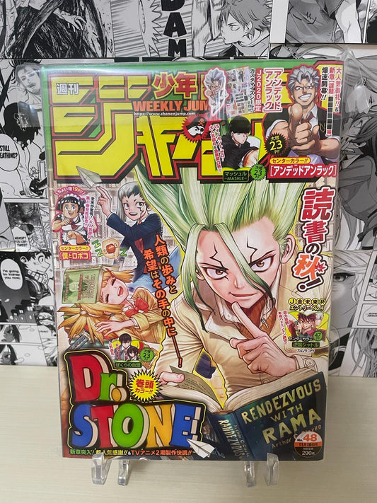 Weekly Shonen Jump 2020 N. 48 (JAP)